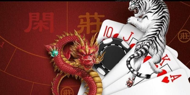 Cách chơi rồng hổ không khó